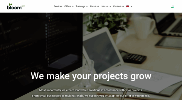 bloomppm.com