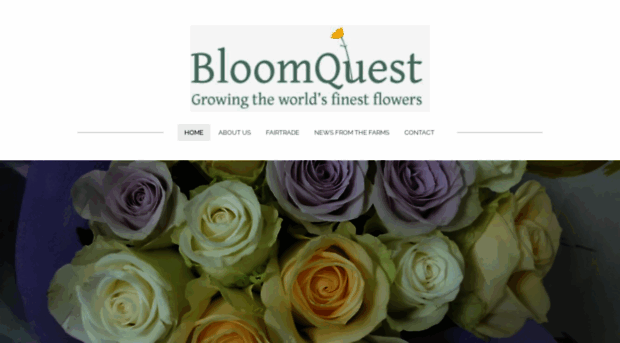 bloomquestusa.com