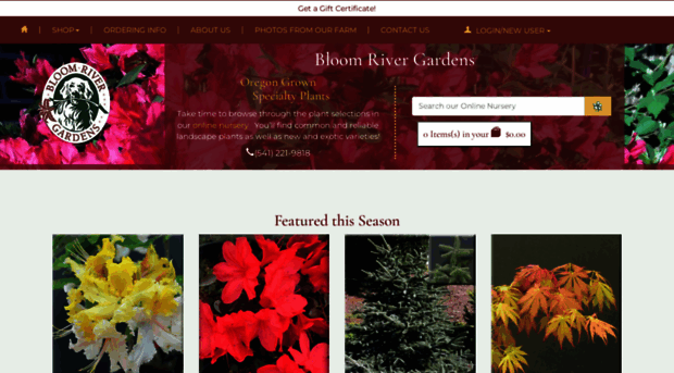 bloomriver.com