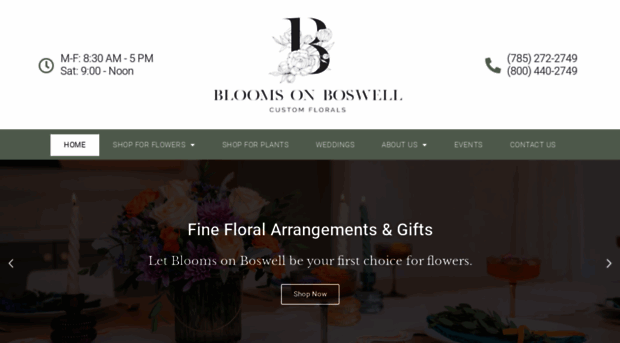 bloomsonboswell.com