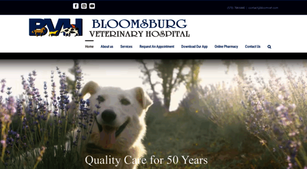 bloomvet.com