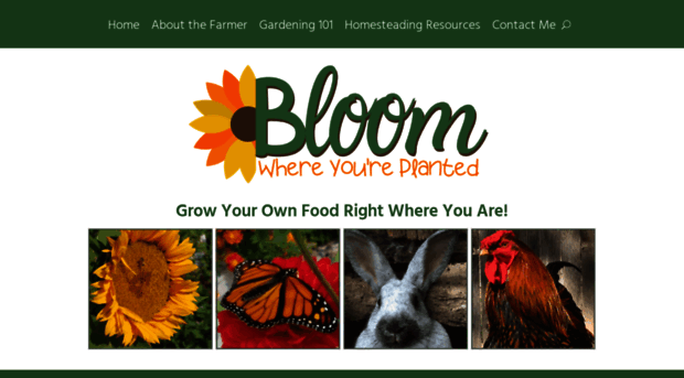 bloomwhereyourplanted.com