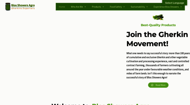 blosshowers.com