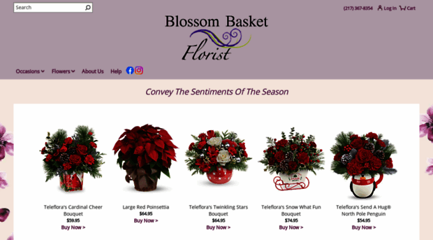 blossombasket.com