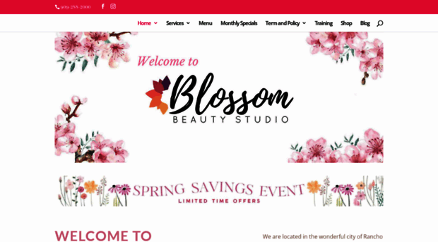 blossombeautystudio.net