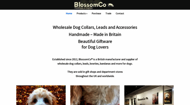 blossomco.co.uk