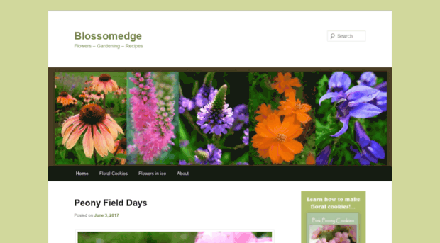 blossomedge.com