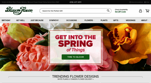 blossomflower.com