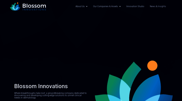 blossominnovations.com