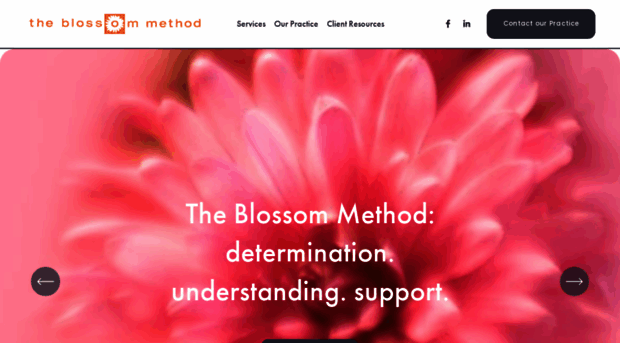 blossommethod.com