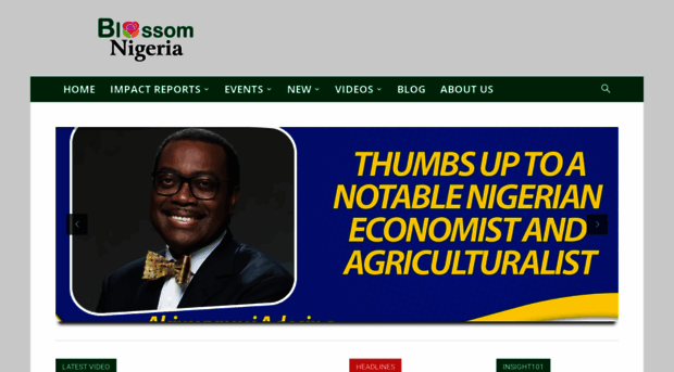 blossomnigeria.com