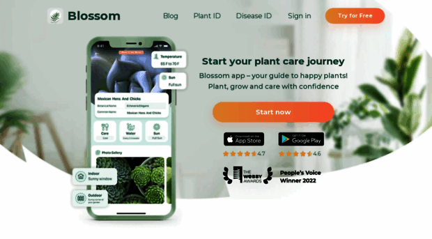 blossomplant.com