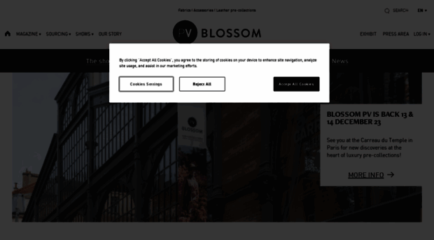 blossompremierevision.com