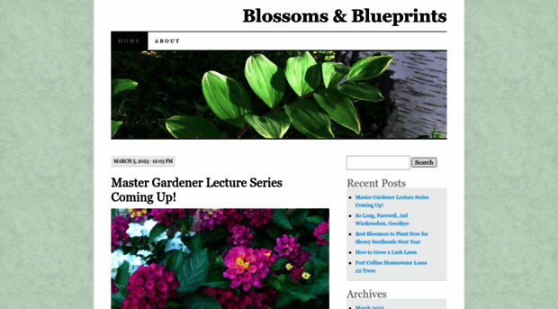 blossomsandblueprints.wordpress.com