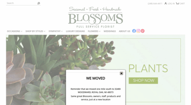 blossomsbirmingham.com