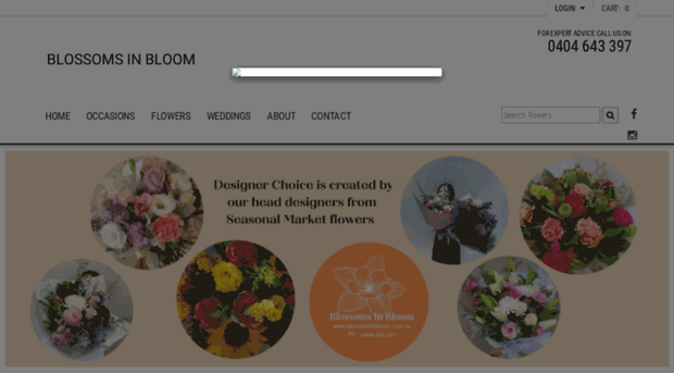 blossomsinbloom.com.au