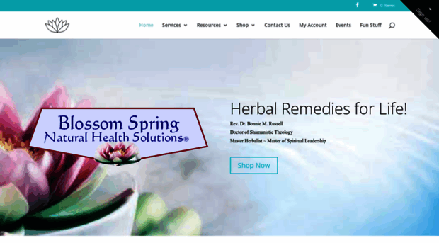 blossomspring.com