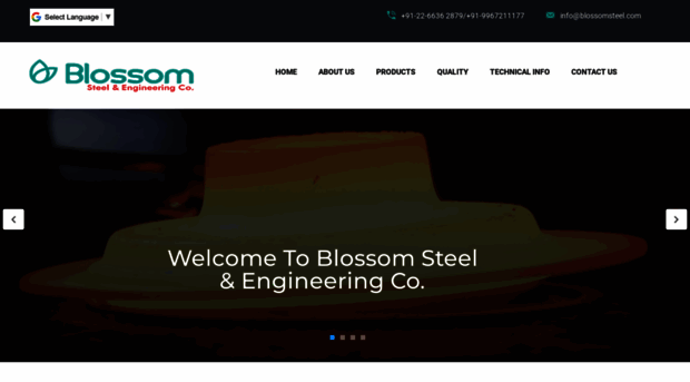 blossomsteel.com