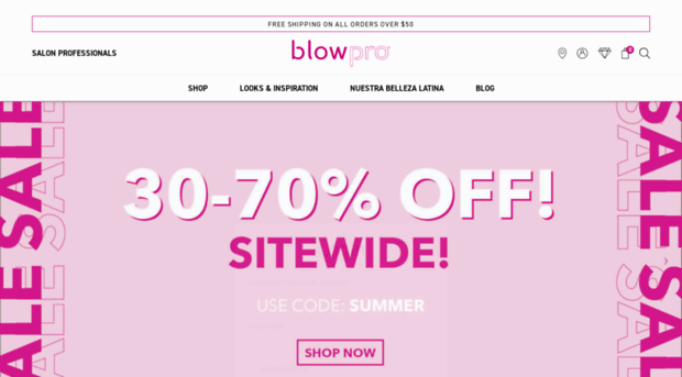 blowpro.com