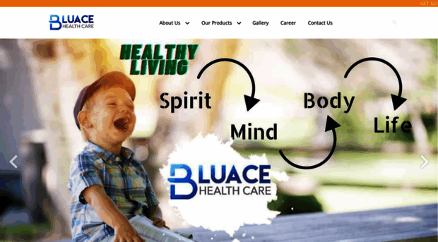 bluacehealthcare.com