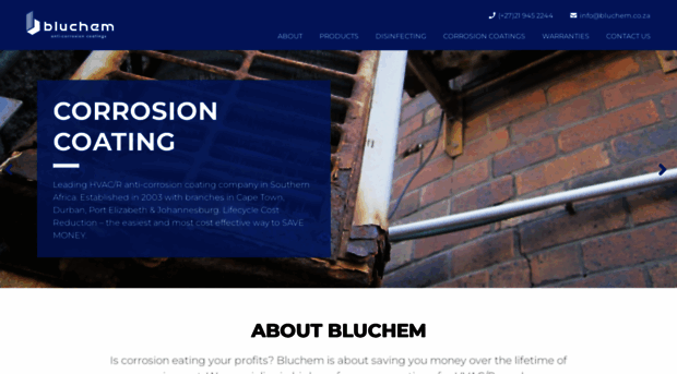 bluchem.co.za