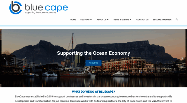 blue-cape.co.za