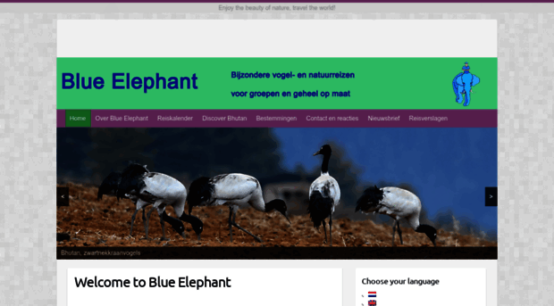 blue-elephant.nl