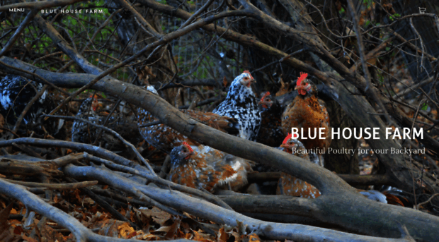 blue-house-farm.com