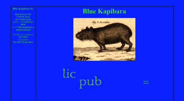 blue-kapibara.nl