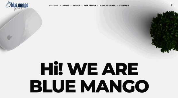 blue-mango.co.za