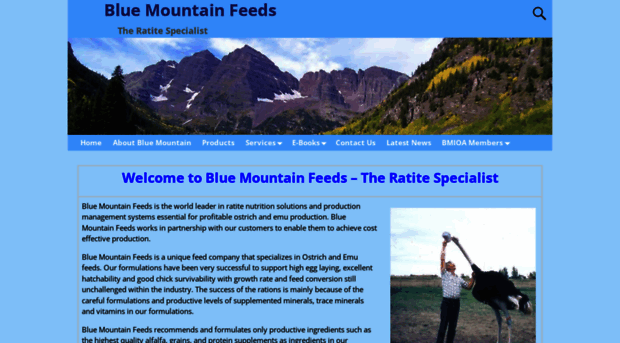 blue-mountain.net