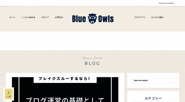 blue-owls.com