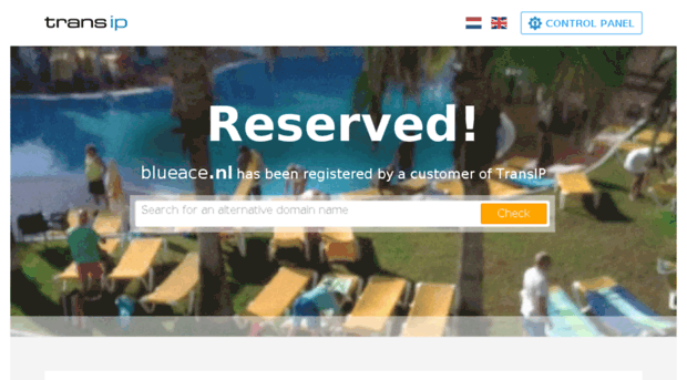 blueace.nl