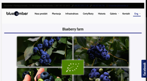 blueamber.pl