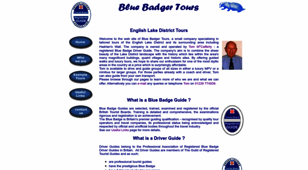 bluebadgertours.com