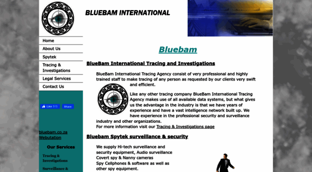 bluebam.co.za