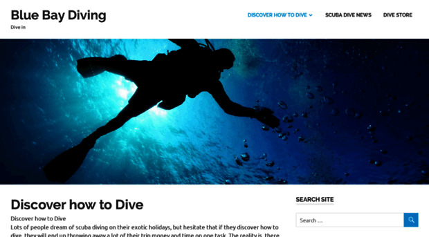 bluebaydiving.com