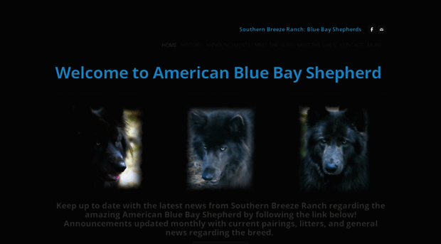 bluebayshepherds.weebly.com