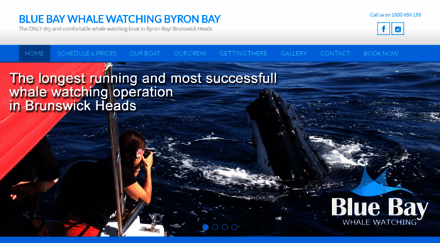 bluebaywhalewatching.com.au