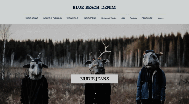 bluebeachdenim.com