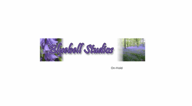 bluebell-studios.ie