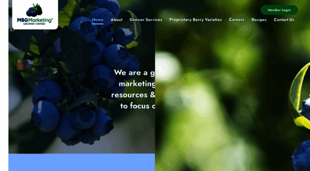 blueberries.com