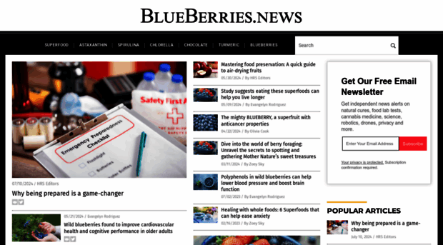 blueberries.news