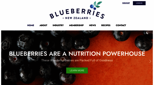 blueberriesnz.co.nz