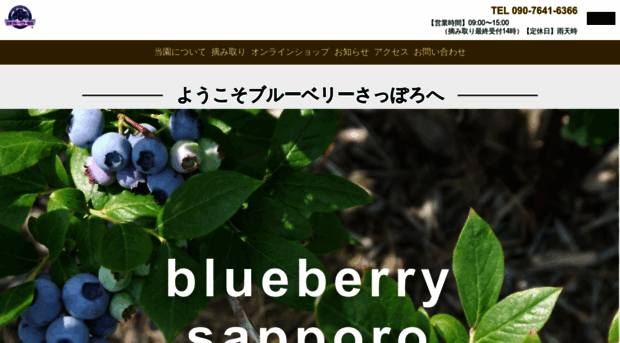 blueberry-sapporo.com