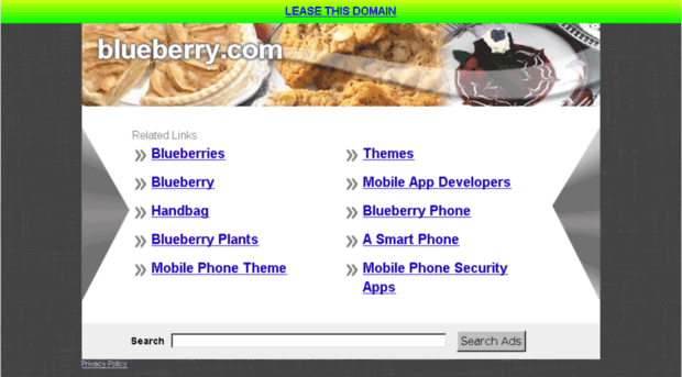 blueberry.com