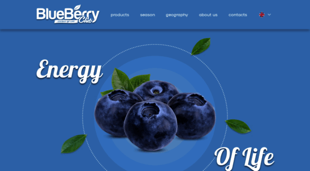 blueberry.ua