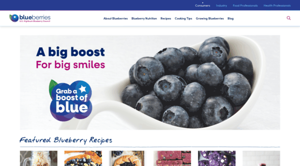 blueberrycouncil.org