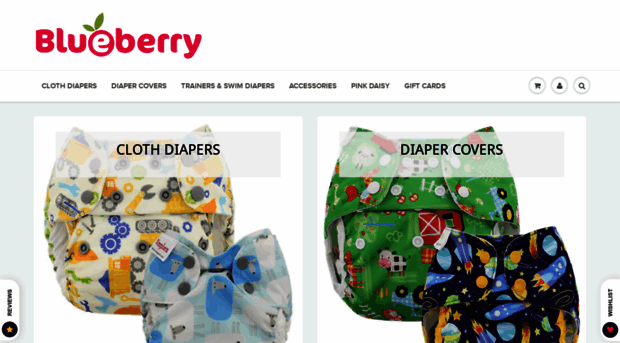 blueberrydiapers.com