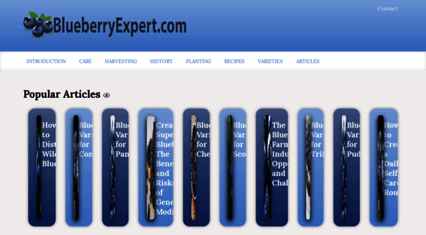 blueberryexpert.com